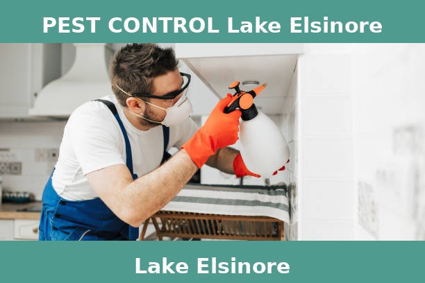 PEST CONTROL Lake Elsinore
